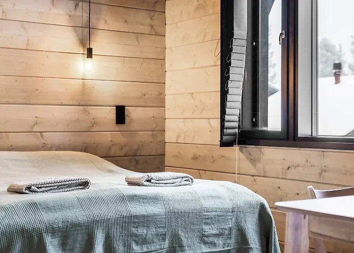 Finland - A בית נופש *